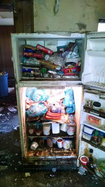 Hoarder Refrigerator Kitchen Extreme Cleanup